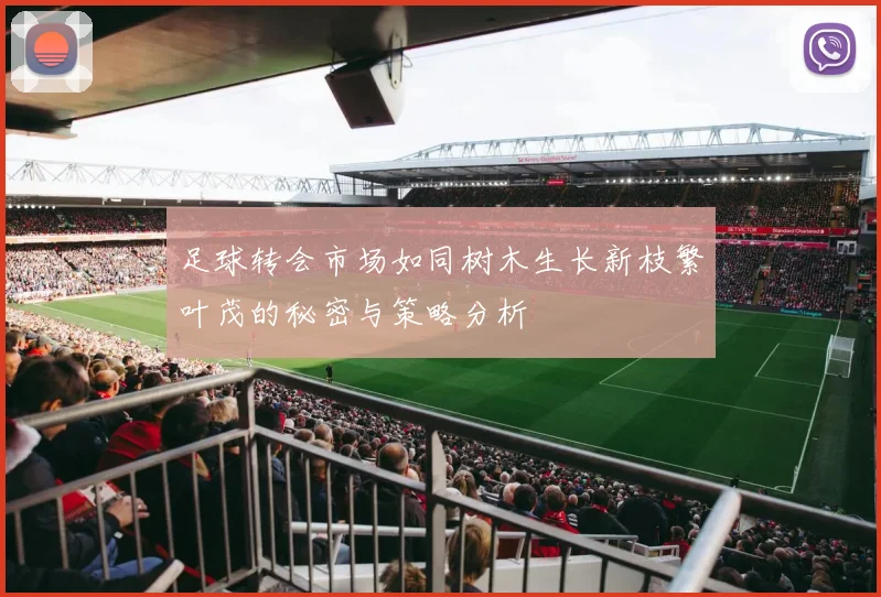 足球转会市场如同树木生长新枝繁叶茂的秘密与策略分析