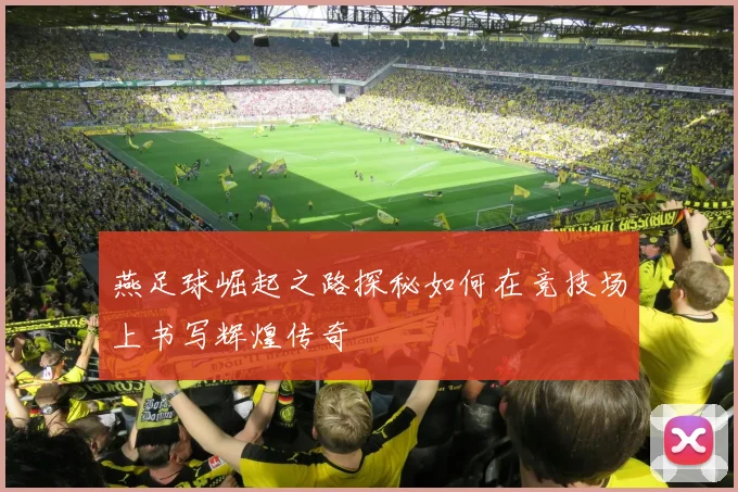 燕足球崛起之路探秘如何在竞技场上书写辉煌传奇