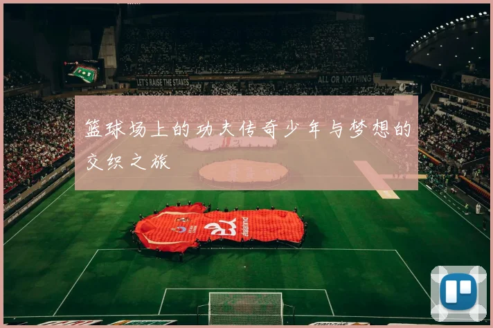 篮球场上的功夫传奇少年与梦想的交织之旅
