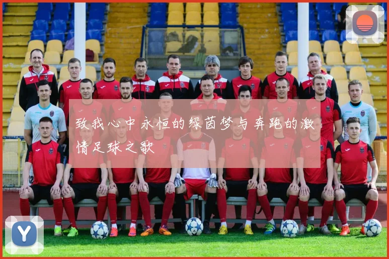 致我心中永恒的绿茵梦与奔跑的激情足球之歌