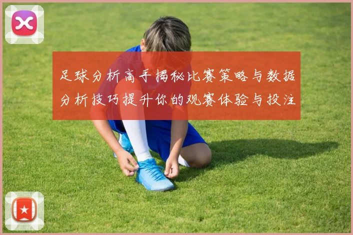 足球分析高手揭秘比赛策略与数据分析技巧提升你的观赛体验与投注成功率