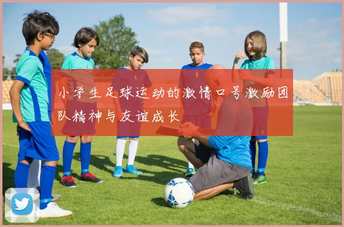 小学生足球运动的激情口号激励团队精神与友谊成长